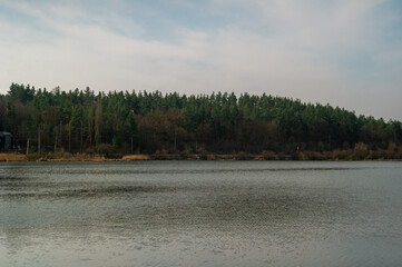 view of the lake and forest