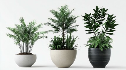 Fototapeta premium Charming Ceramic Potted Plants Collection - Isolated on white Background 3D Render