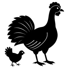 rooster isolated on white