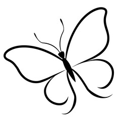 butterfly vector illustration