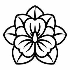 black and white flower