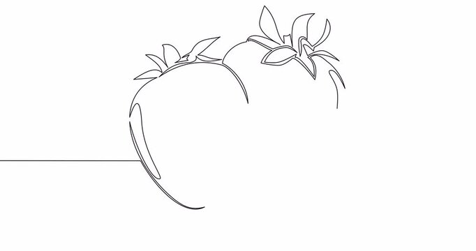 Self drawing line animation organic strawberries fruit Fresh berries fruitage continuous one single line drawn concept video