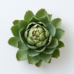 Fototapeta premium Fresh artichoke showcasing tightly packed green leaves ready for culinary delights and healthy dishes