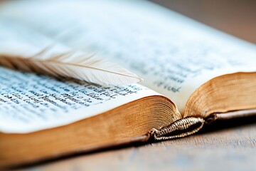Close up of an open medieval book with detailed calligraphy and quill feather for historical study or design inspiration, featuring gothic script and antique pages