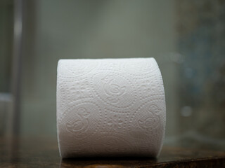Toilet paper roll with embossed duck pattern placed on a bathroom surface, captured in soft indoor lighting with a blurred background.