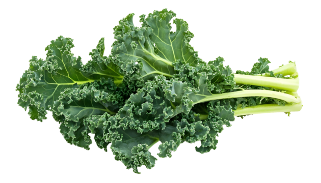Siberian kale , clipping path  -  