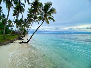 Tropical beach on the coconut coast in banggai island, Indonesia