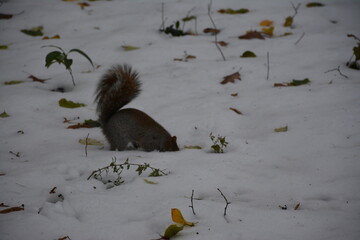 A trip to New York City is an unforgettable experience