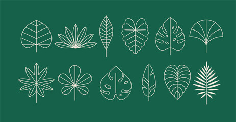 Minimalist summer tropical leaves design collection. Linear simple, modern style. Summer illustrations © Marina Zlochin