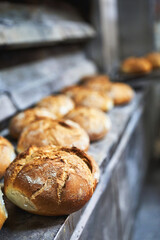 Crusty bread loaves cooling on industrial oven surface