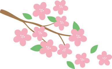 벚꽃나무 벡터