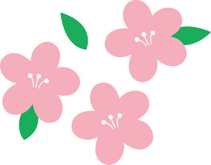 봄 벚꽃 벡터 일러스트