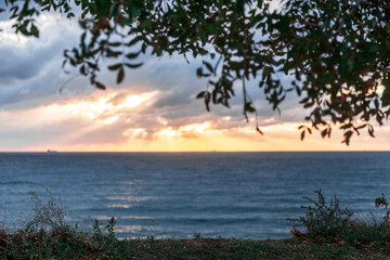 Gelendzhik resort. A beautiful sunset over the ocean with a tree in the background. The sky is filled with clouds and the sun is setting, creating a warm and peaceful atmosphere