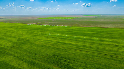 Obraz premium Irrigation Process on Fertile Agricultural Land Sanliurfa Turkey