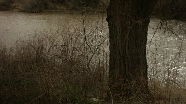 Animas River Farmington NM Pan