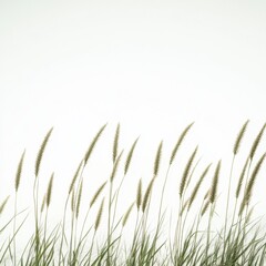 Grass blowing gracefully in the wind against a pure white background evoking serenity and natural beauty