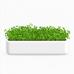 Fototapeta premium Vibrant green plants arranged in a decorative planter creating a lush and inviting indoor garden atmosphere