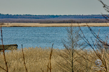 Relaks nad wodą © Thomas
