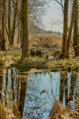 Relaks nad wodą © Thomas