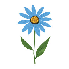 A blue Coneflower wildflower clip art illustration design daisy vector