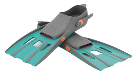 Isolated Swim Fins