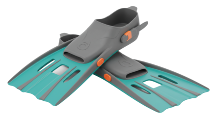 Isolated Swim Fins
