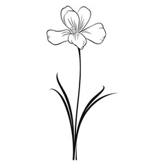 Bluebell art illustration drawing vector