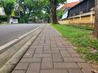 Tranquil Street Scene: Exploring a tree-lined Residential Road with Brick Sidewalk and Lush Greenery, showcasing a Peaceful Urban Landscape with Natural Beauty.