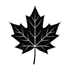 maple leaf vector