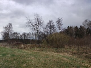 Naturlandschaft bei trübem Wetter