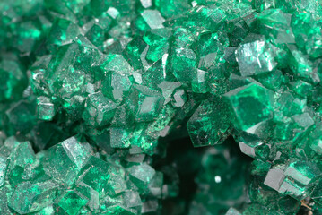 Mineral Dioptase, Emerald green crystal hedgehog on quartz, Tsumeb, Otavi, Namibia