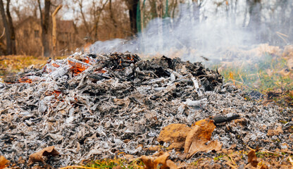 Smoldering ahes in an autumn forest.