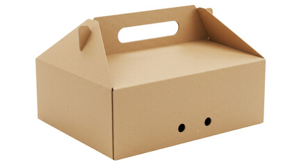 Isolated Brown Packaging Box