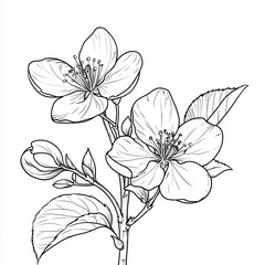 Obraz premium Detailed floral illustration featuring blooming flowers and leaves in a botanical design