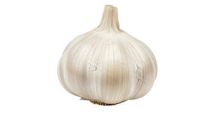 Isolated Garlic Bulb
