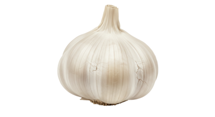 Isolated Garlic Bulb