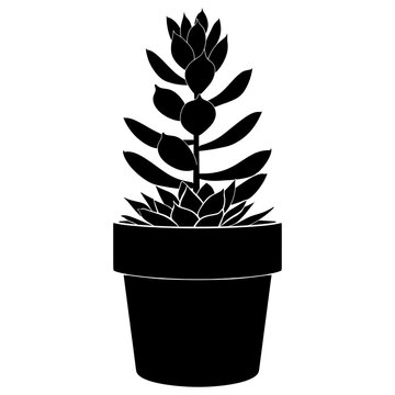 recommend clip art: Potted plant with succulent silhouette simple potted vector