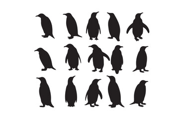 Obraz premium penguin on a white background