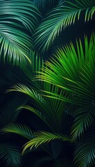 Lush green palm leaves against a dark, moody background in a tropical garden, ecology, background