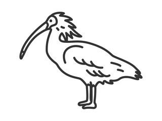 朱鷺（線画）のイラスト