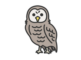 フクロウ（線画カラー）のイラスト