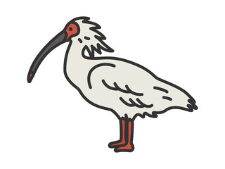 朱鷺（線画カラー）のイラスト