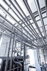 Stainless pipes in milk factory