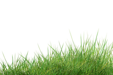 green grass isolated on white background