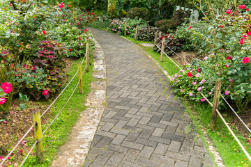 Beautiful summer garden with a walkway winding its way through. Path leading through a garden.
