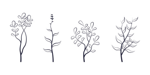 Fototapeta premium Elegant Hand-Drawn Botanical Vectors Featuring Minimalist Plant Illustrations