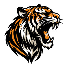 Tiger vector and illustrations.