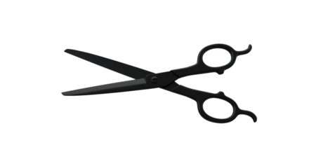 Isolated Black Scissors