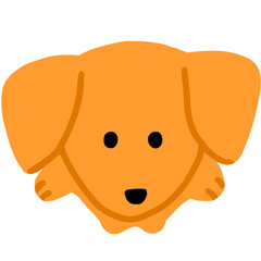 a dog looking up