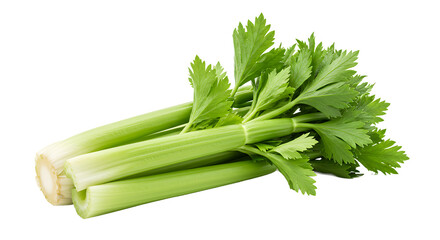 A bunch of fresh celery stalks with green leaves isolated on a black background in close up view